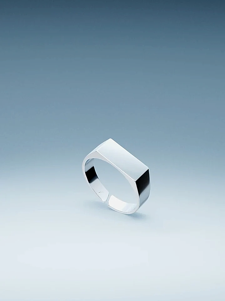UNISIZE SIGNET RING IN SILVER
